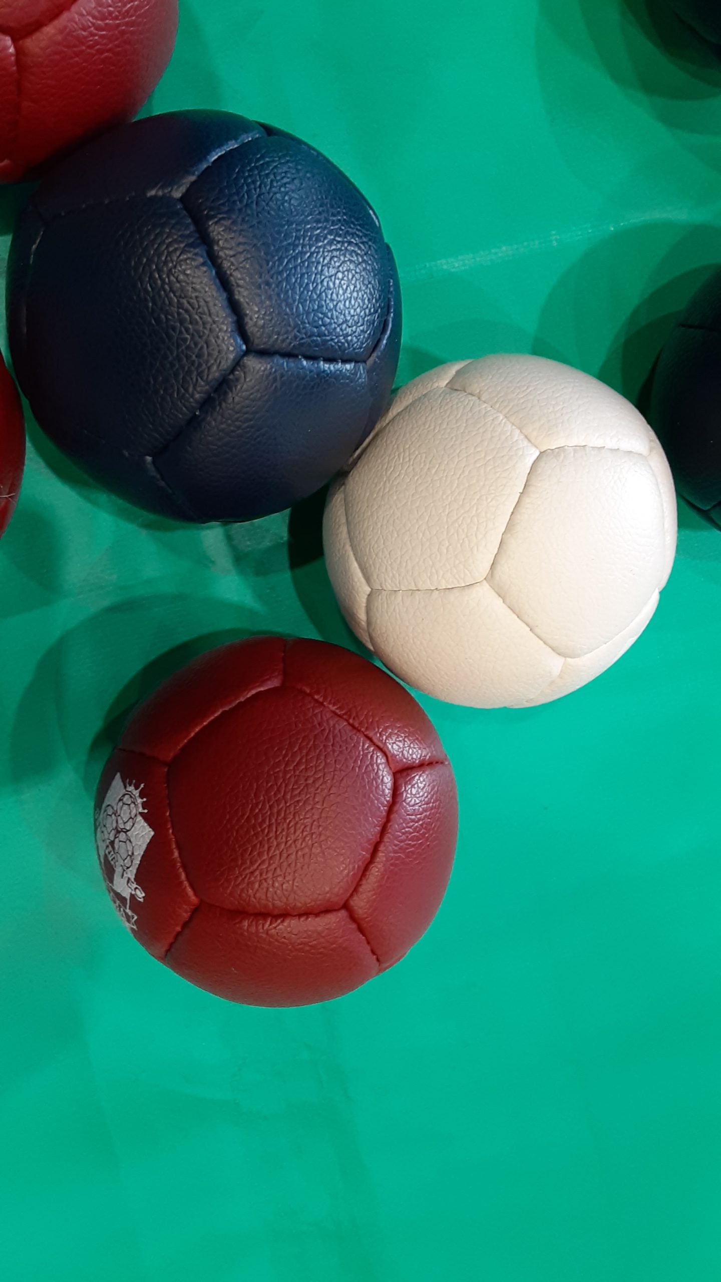 ポッチャンページ エバニュー公式オンラインショップ / ボッチャボール用ターゲットマット